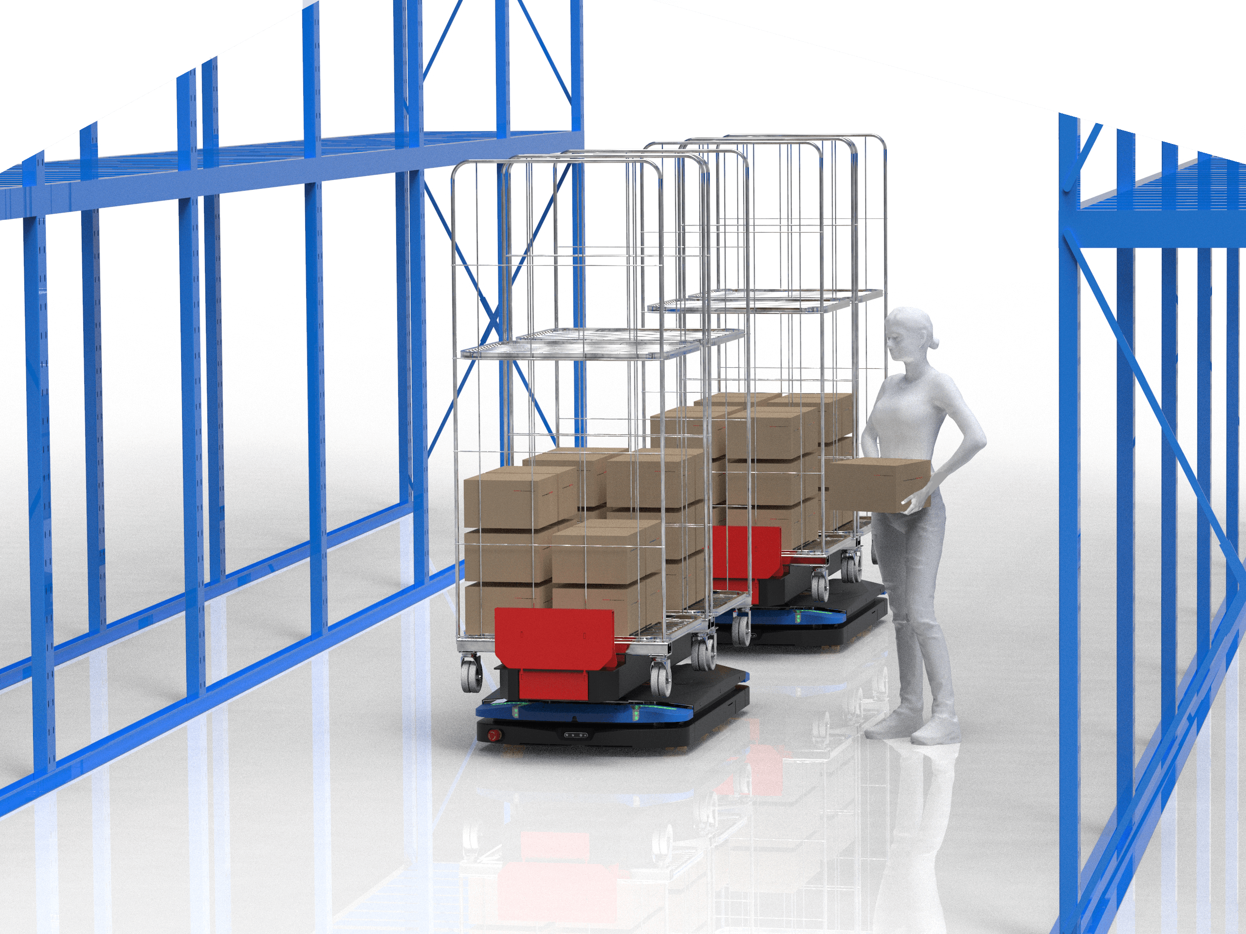 Double robots robotized duo order picking
